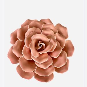 Rose colored flower wall sculpture porcelain
